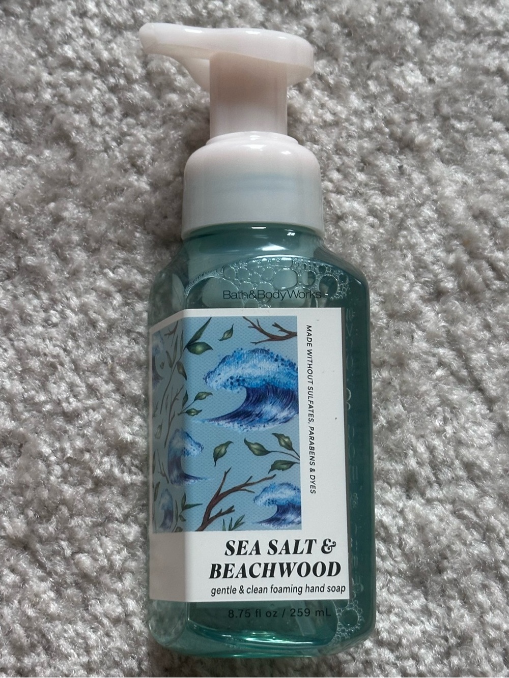Bath & Body Works - Sea Salt & Beachwood Foaming Hand Soap